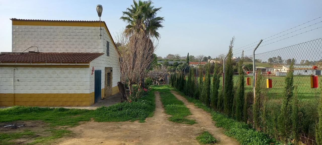 הוילה קרמונה Huerta El Genoves מראה חיצוני תמונה