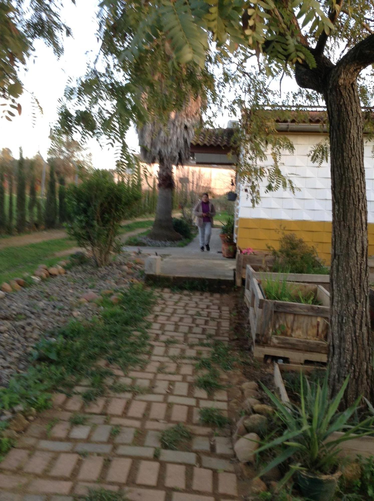 הוילה קרמונה Huerta El Genoves מראה חיצוני תמונה